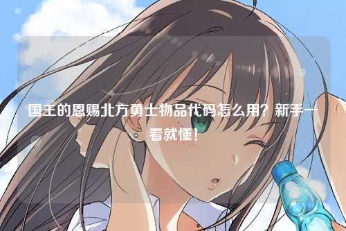 国王的恩赐北方勇士物品代码怎么用？新手一看就懂！