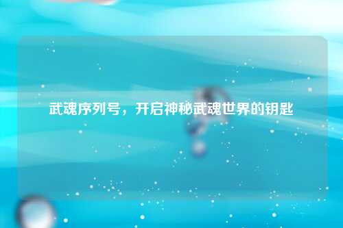 武魂序列号，开启神秘武魂世界的钥匙