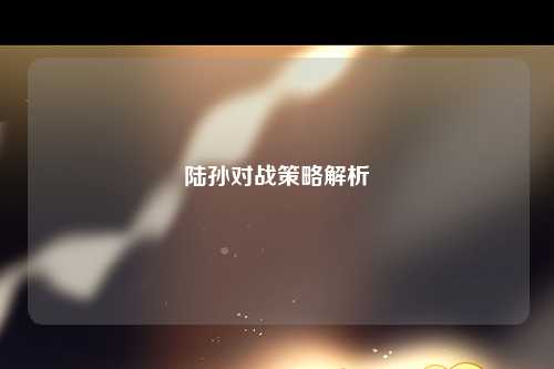 陆孙对战策略解析