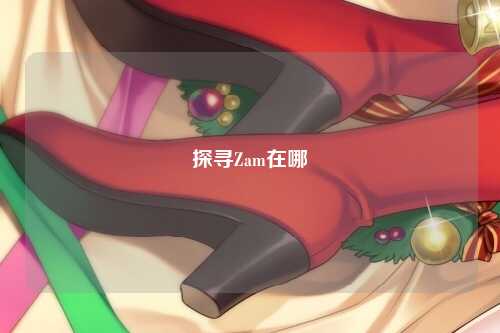 探寻Zam在哪