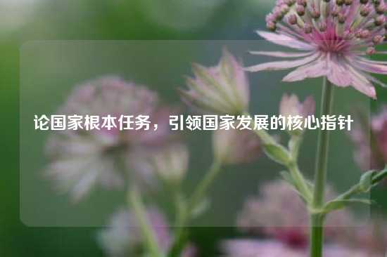 论国家根本任务，引领国家发展的核心指针