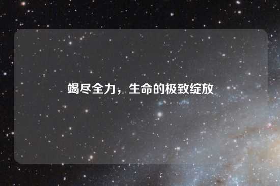 竭尽全力，生命的极致绽放