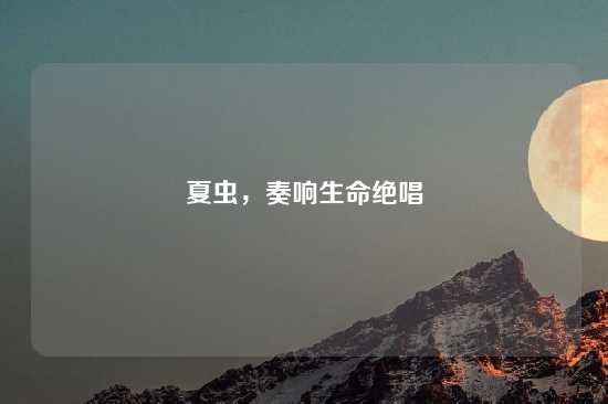 夏虫，奏响生命绝唱