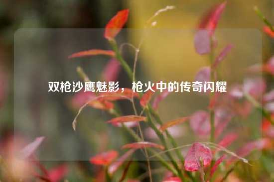 双枪沙鹰魅影，枪火中的传奇闪耀
